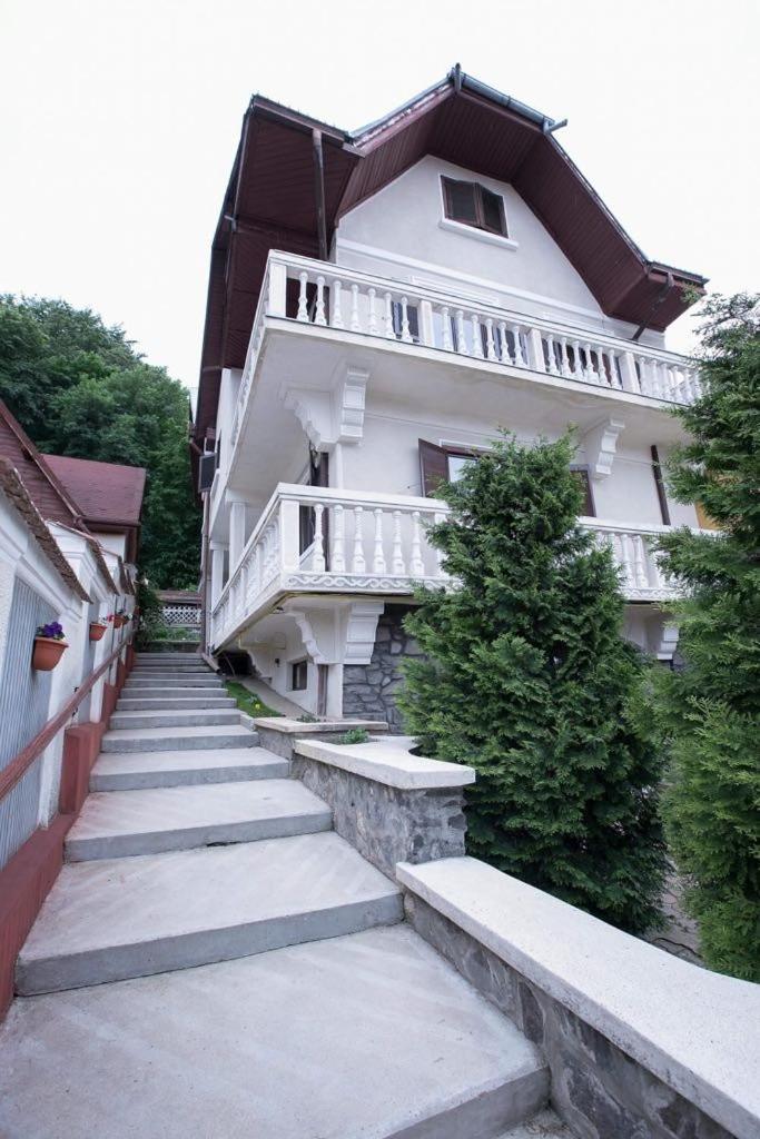 Vila Zeno Brasov Exterior photo